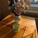 Gruene Huette Hüttenrode