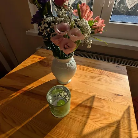 Gruene Huette Hüttenrode